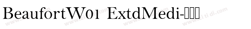 BeaufortW01 ExtdMedi字体转换